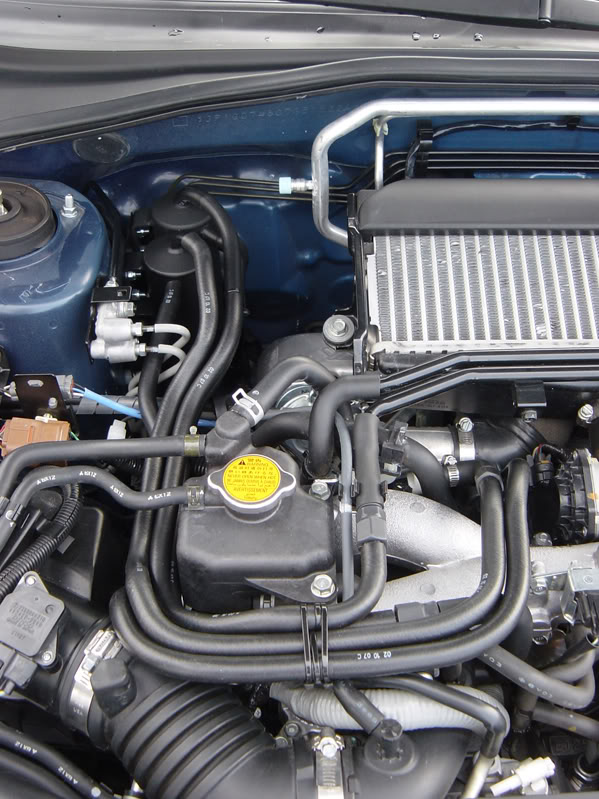 Name:  DSC02506copy.jpg
Views: 34
Size:  111.9 KB