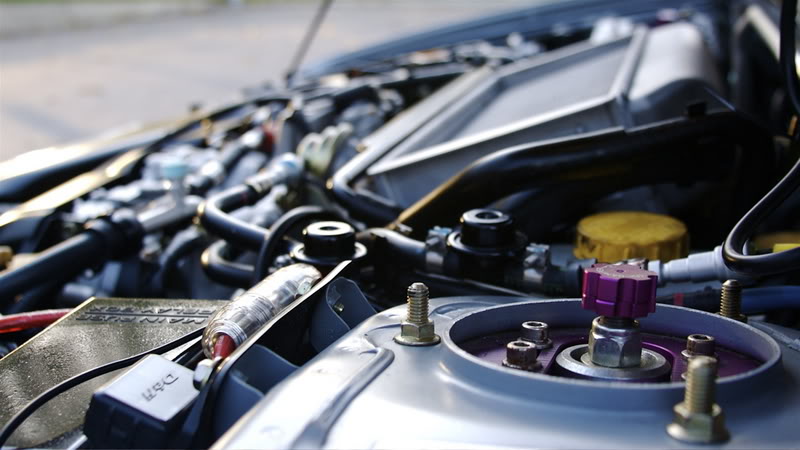 Name:  IMG_6973_2.jpg
Views: 664
Size:  60.9 KB