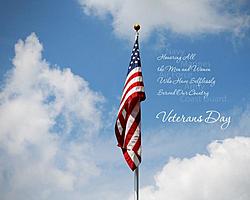 On Veterans Day...-free-veterans-day-powerpoint-background-4-_01.jpg
