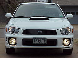 eyelids-mvc-008f.jpg