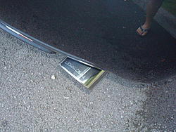 Join the Group for LGTs!-dsc03497.jpg