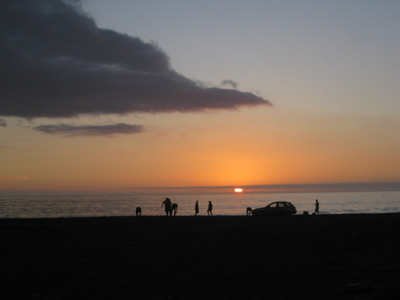 Name:  IMG_0172.jpg
Views: 44
Size:  54.7 KB