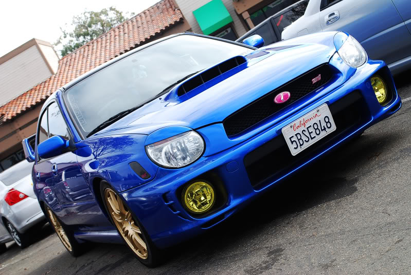 Name: DSC_0133.jpg
Views: 13
Size: 121.7 KB