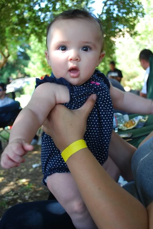 Name: DSC_0730.jpg
Views: 17
Size: 69.0 KB