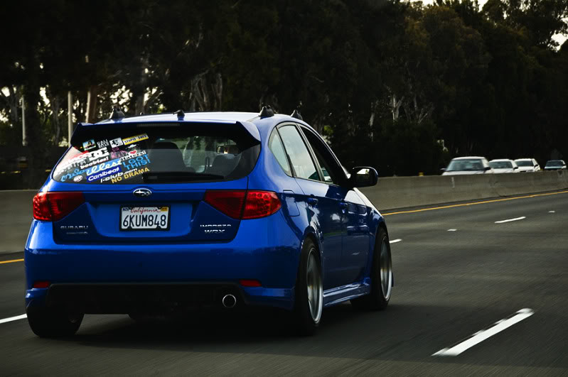 Name:  izzyrolling.jpg
Views: 14
Size:  72.9 KB