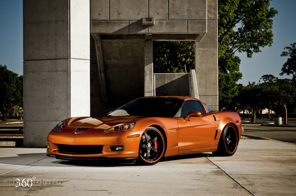 Name:  3508293922_3a8eb542e6_b.jpg
Views: 15
Size:  146.9 KB