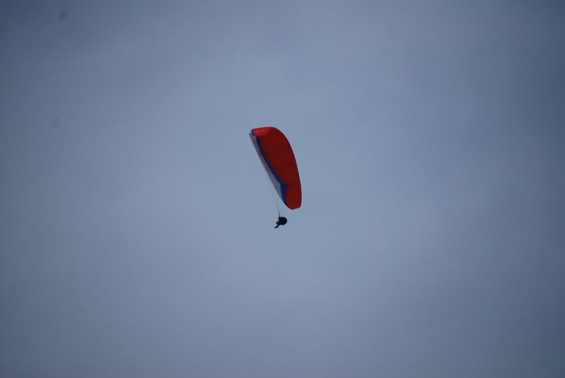 Name: DSC_0380.jpg
Views: 19
Size: 35.8 KB