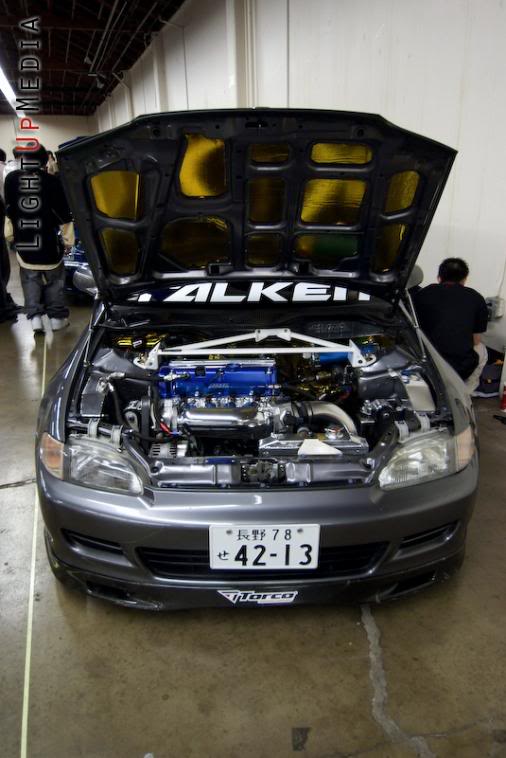 Name:  JDM08-0864.jpg
Views: 53
Size:  55.7 KB