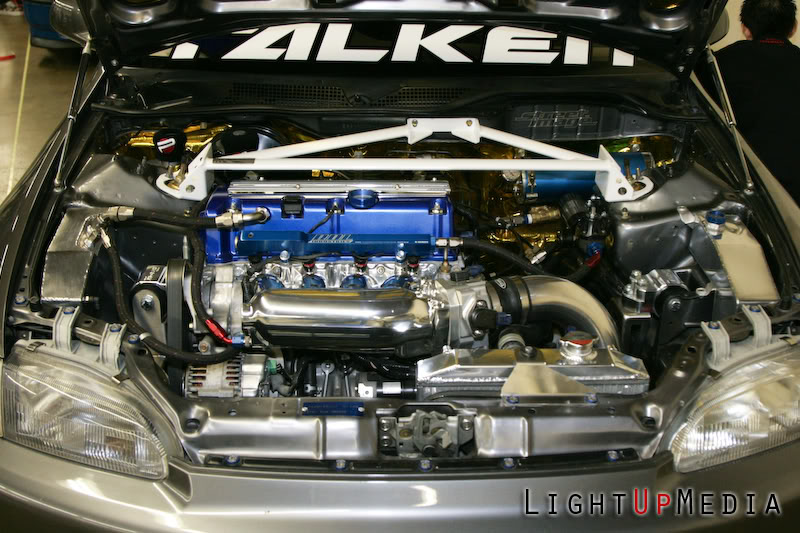 Name:  JDM08-1382.jpg
Views: 11
Size:  113.9 KB