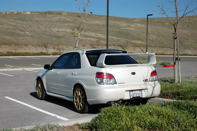 Name:  DSC_0155.jpg
Views: 10
Size:  81.8 KB
