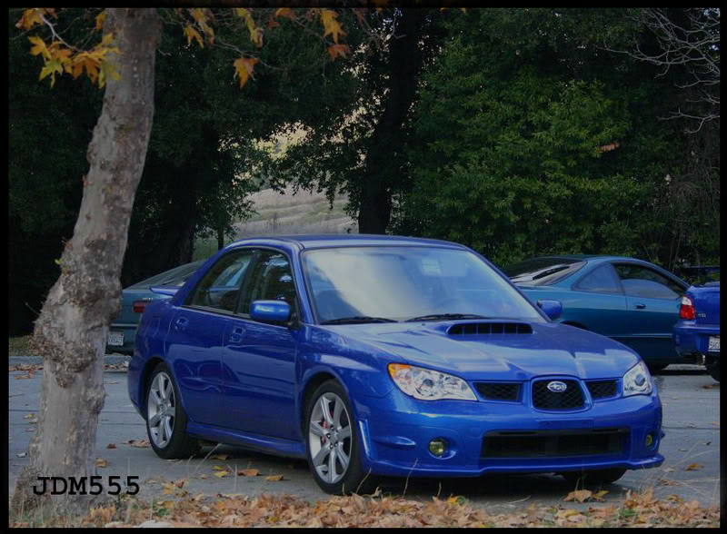Name:  BlueRexPark.jpg
Views: 15
Size:  104.0 KB