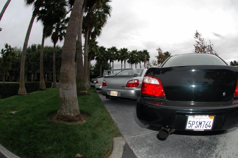 Name: DSC_0333.jpg
Views: 18
Size: 61.9 KB