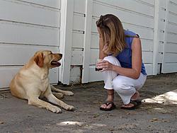 Mt. Hamilton North Bay caravan - July 11th-pacheco-bbq-3.jpg