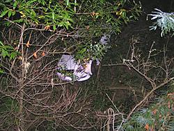 Santa Cruz&amp;Scotts Valley meet and drive: Wednesdays 9:00PM-pict0019.jpg