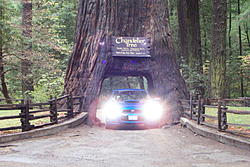second annual Redwood Rendezvous Road Rally Adventure tour-dcp_0785.jpg