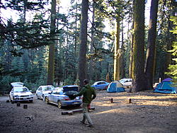 When Rallying is outlawed, only outlaws will rally: Redwood Rendezvous IV-p1040061.jpg