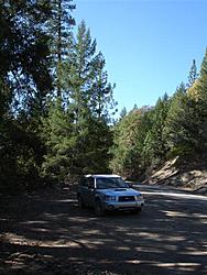 When Rallying is outlawed, only outlaws will rally: Redwood Rendezvous IV-dsc03029-medium-.jpg
