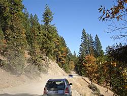 When Rallying is outlawed, only outlaws will rally: Redwood Rendezvous IV-dsc03034-medium-.jpg
