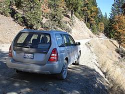 When Rallying is outlawed, only outlaws will rally: Redwood Rendezvous IV-dsc03036-medium-.jpg