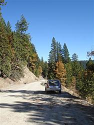 When Rallying is outlawed, only outlaws will rally: Redwood Rendezvous IV-dsc03042-medium-.jpg