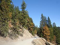 When Rallying is outlawed, only outlaws will rally: Redwood Rendezvous IV-dsc03044-medium-.jpg