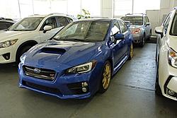 MEET UP: North Bay, lets get it going!-1797554_10100236395513623_3134904259386411144_n.jpg