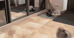 Name:  0nvq3Cz.gif
Views: 11
Size:  619.3 KB