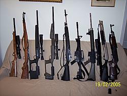 Sacramento Area Suby Gun Owners Meet 2/26/05-rifles.jpg