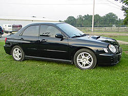 To live'n things up...-right.jpg