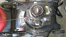 Lawn mower and BBQ grill.-image-1781124887.jpg