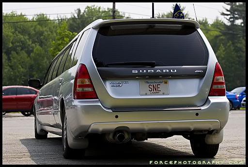 Name:  StretchForesterHosted.jpg
Views: 21
Size:  36.3 KB