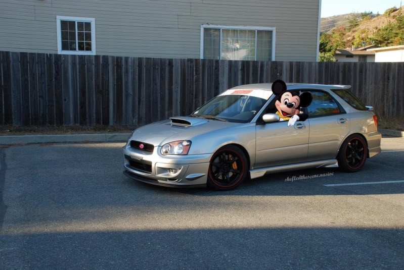 Name:  mickey.jpg
Views: 17
Size:  87.5 KB