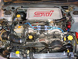 New Guy-dsc00989.jpg