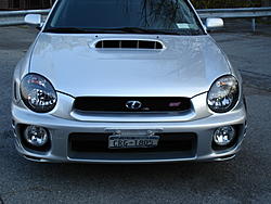 new guy with pics-dsc00847.jpg