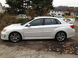 Sti-image-2240123237.jpg