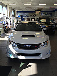 Sti-image-2281635123.jpg