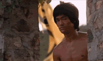 Name:  jD86c.gif
Views: 9
Size:  925.2 KB