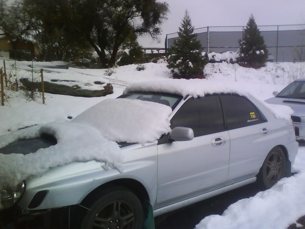 Name:  Image3-2.jpg
Views: 9
Size:  92.8 KB