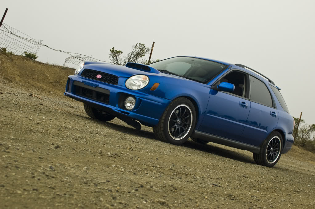 Name:  DSC_2955.jpg
Views: 18
Size:  147.6 KB