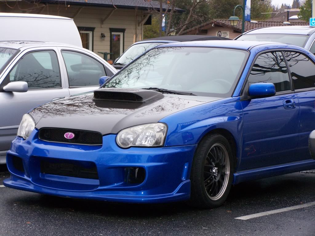 Name:  100_1401.jpg
Views: 8
Size:  149.8 KB