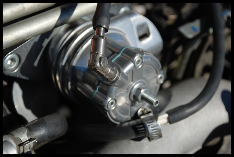 Name:  hector1.jpg
Views: 14
Size:  54.8 KB