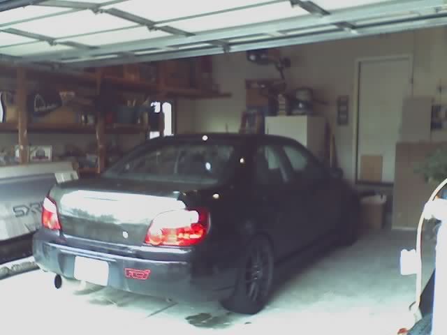 Name:  wingless.jpg
Views: 12
Size:  25.1 KB