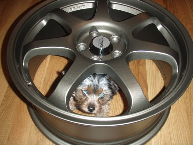 Name:  P9250104.jpg
Views: 18
Size:  57.0 KB