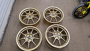 FS: South Bay Gold 17&quot; OZ Alleggerita HLT 17x7.5 +48-all-wheels.jpg