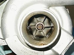 hoodscoop, oem tmic, and springs-pict0136-medium-.jpg