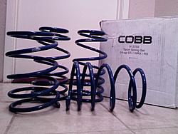 FS. COBB springs-my-pics-593.jpg