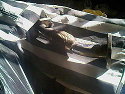 2 up pipes for sale-0430090750%5B1%5D.jpg