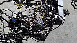 Complete wiring harness!-wiring-harness.jpg