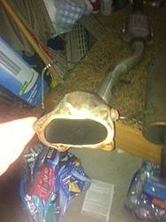 Crawford Turbo Back-img_0719.jpg