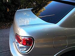 FS: CGM Wingless trunk-trunk3.jpg